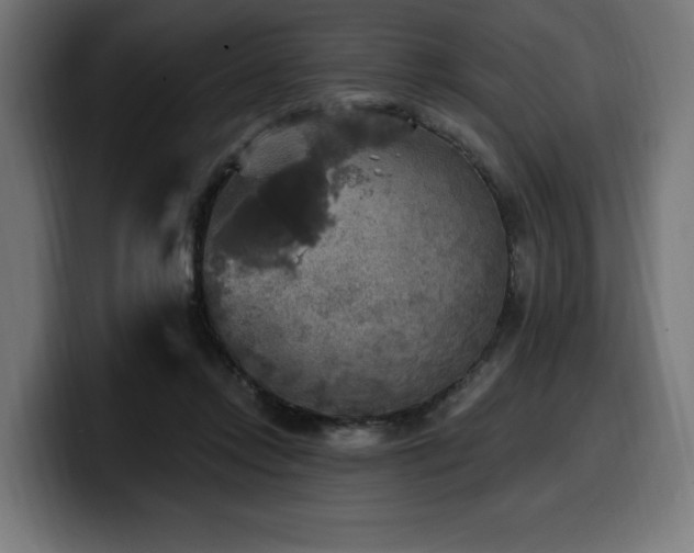 X0000100500358200806131441