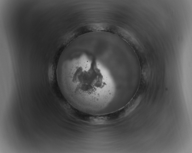 X0000100500359200806131441