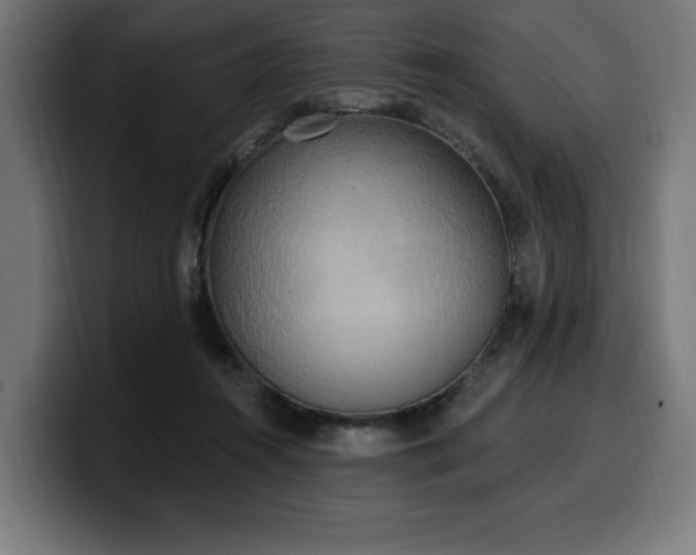 X0000100500360200806131441