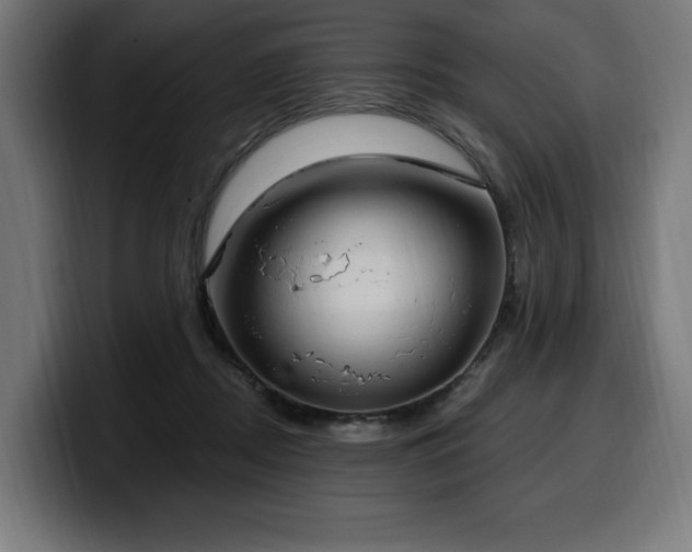 X0000100500362200806131441