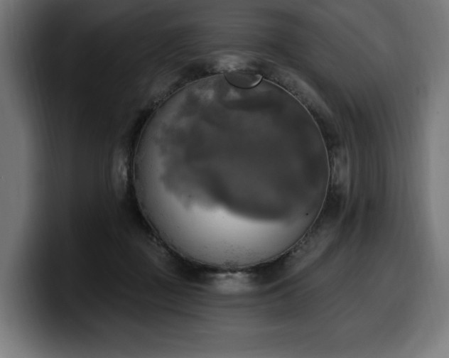 X0000100500363200806131441