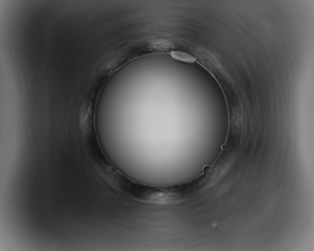 X0000100500364200806131441