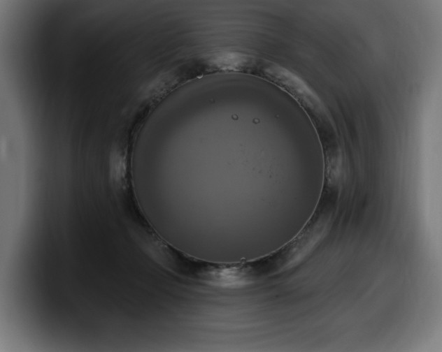 X0000100500365200806131441