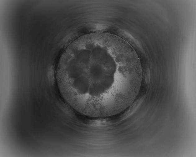 X0000100500366200806131441