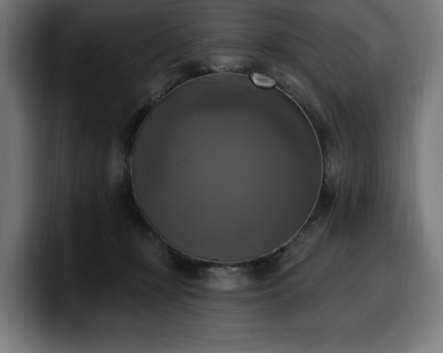 X0000100500367200806131441