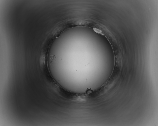 X0000100500368200806131441