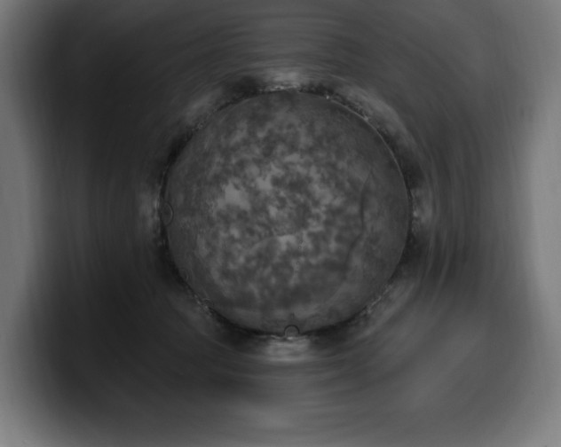 X0000100500369200806131441