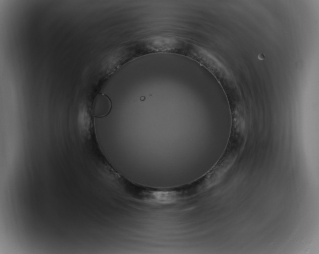 X0000100500371200806131441