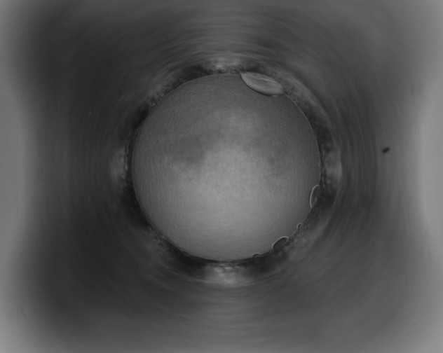 X0000100500372200806131441