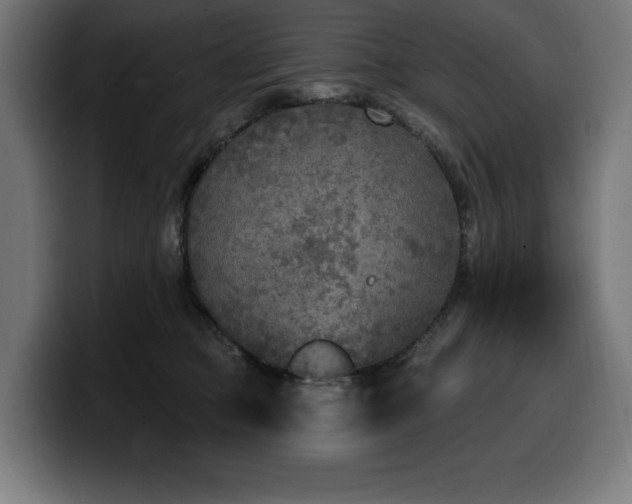 X0000100500373200806131441