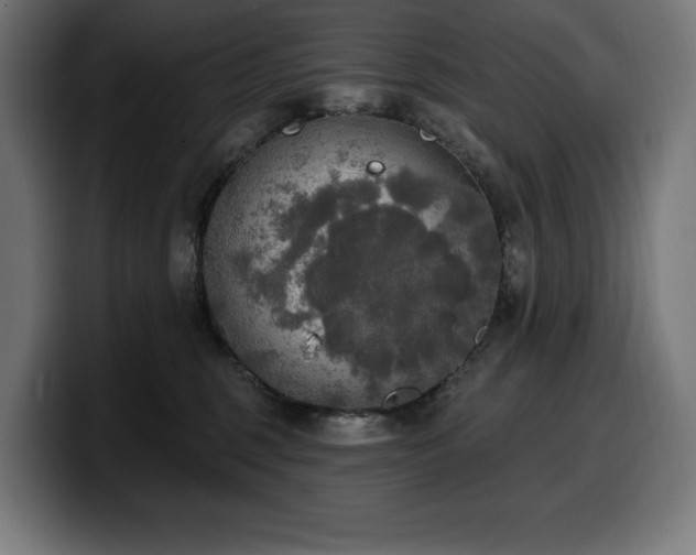 X0000100500375200806131441