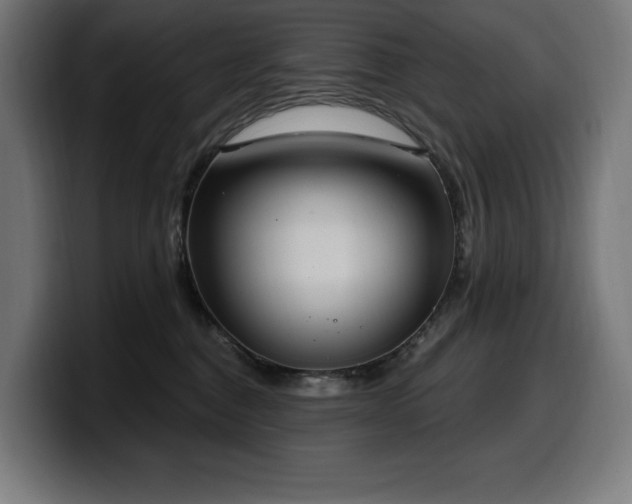 X0000100500376200806131441