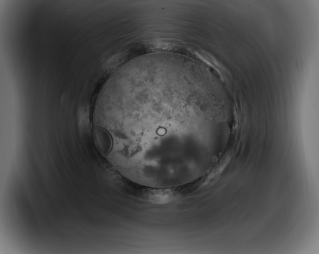 X0000100500377200806131441