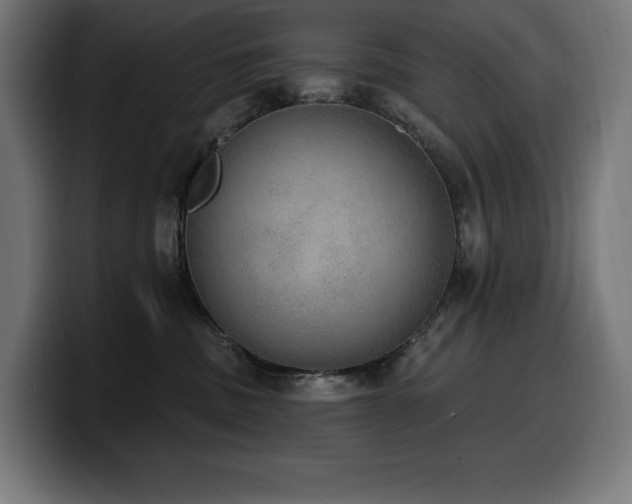 X0000100500379200806131441