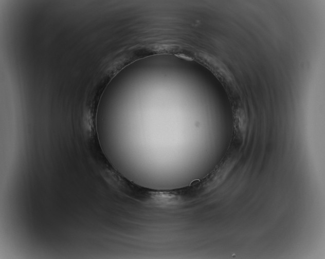 X0000100500380200806131441