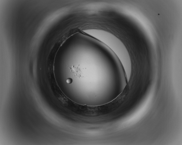 X0000100500382200806131441