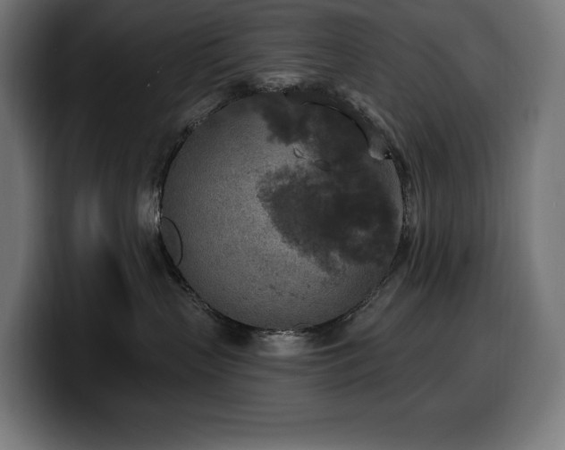 X0000100500383200806131441