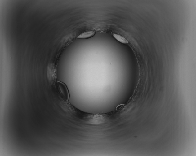 X0000100500384200806131441