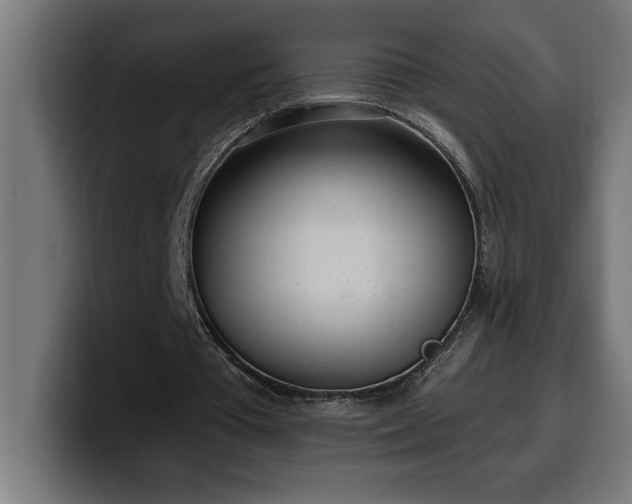 X0000100500385200806131441