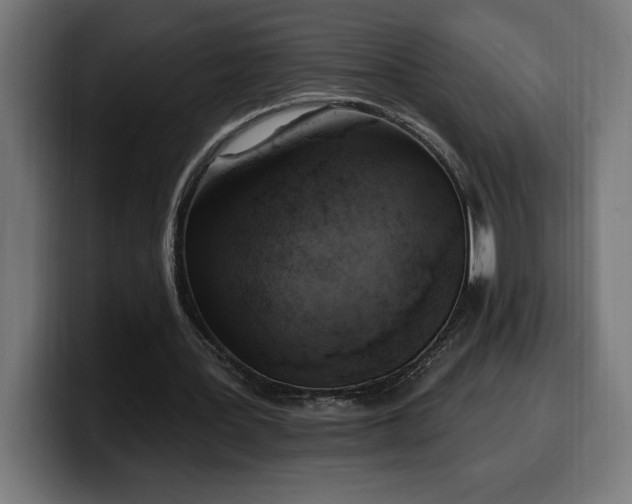 X0000100500387200806131440