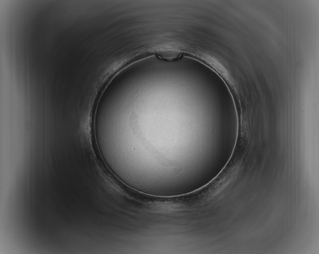 X0000100500389200806131440