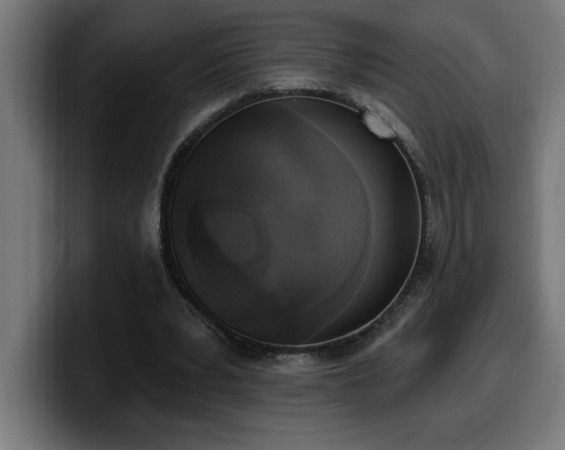 X0000100500391200806131440