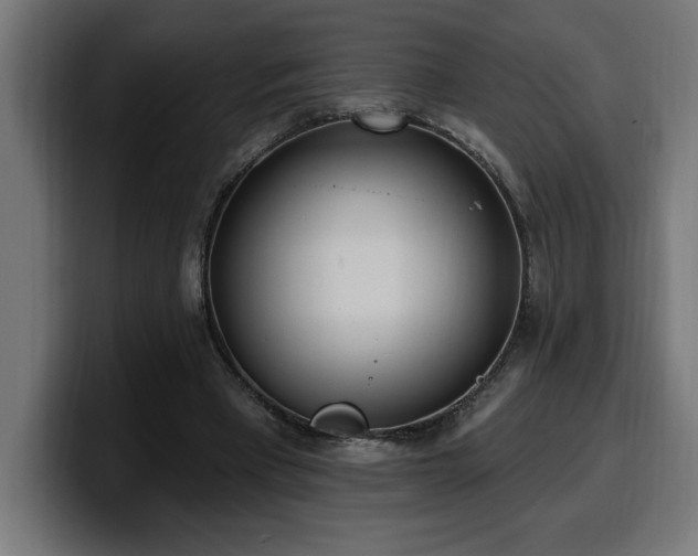 X0000100500393200806131440