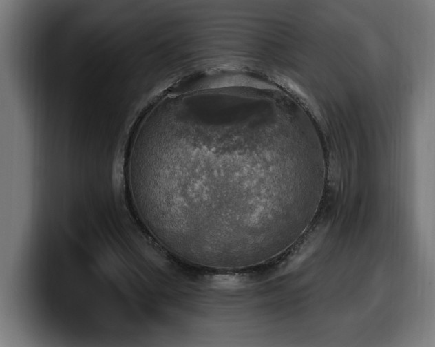 X0000100500394200806131440