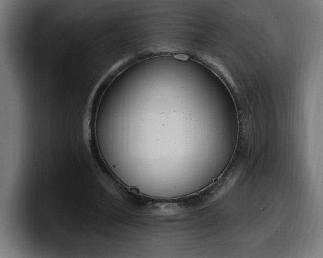 X0000100500395200806131440