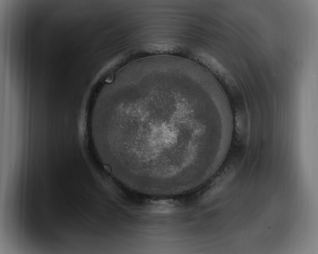 X0000100500396200806131440