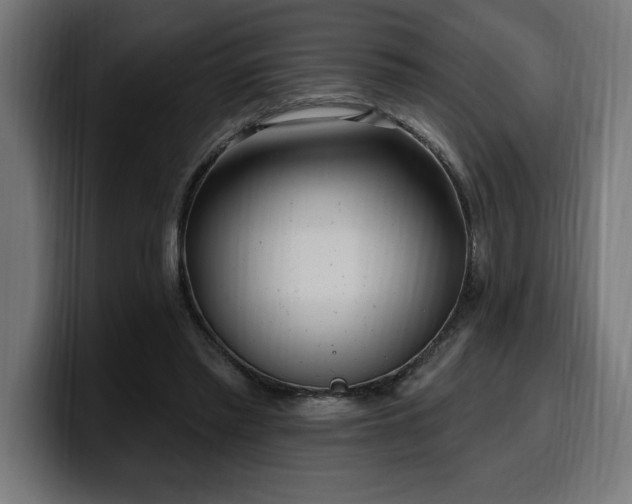 X0000100500397200806131440