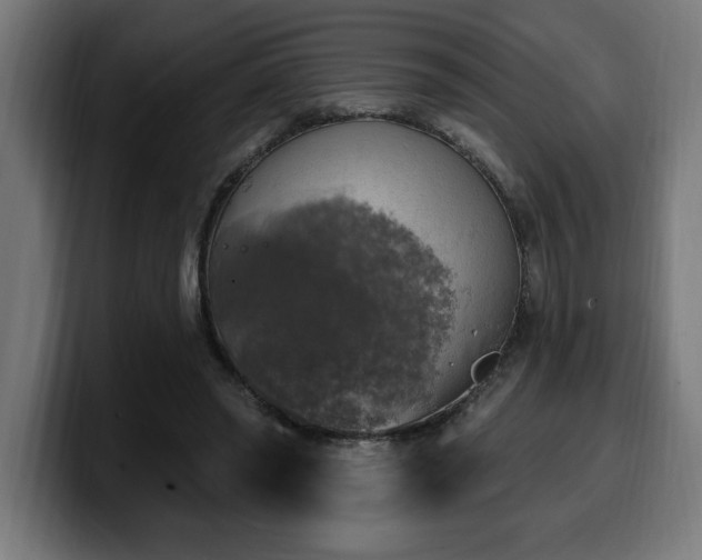 X0000100500398200806131440