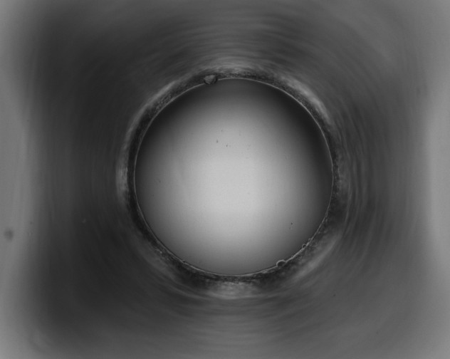 X0000100500399200806131440