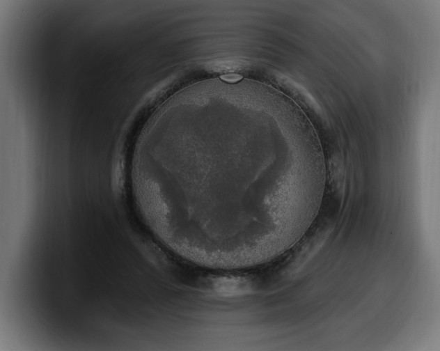 X0000100500400200806131440