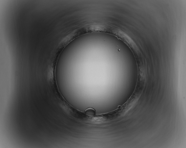 X0000100500401200806131440