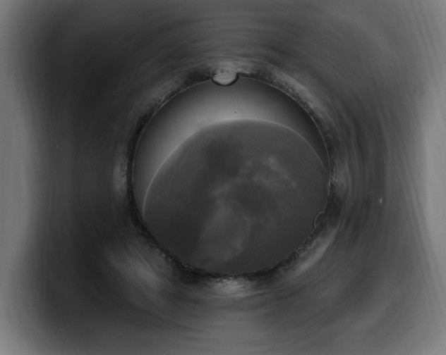 X0000100500402200806131440