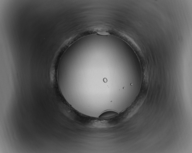 X0000100500403200806131440