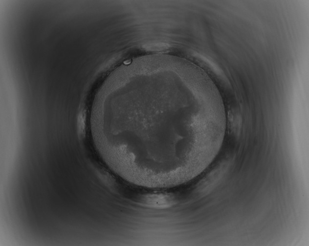 X0000100500404200806131440