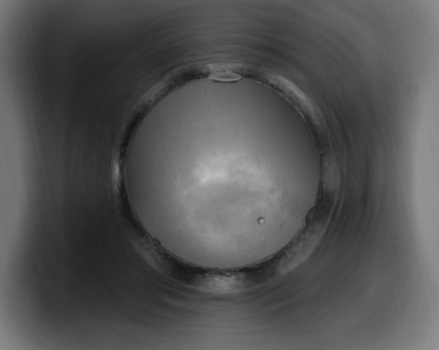 X0000100500405200806131440