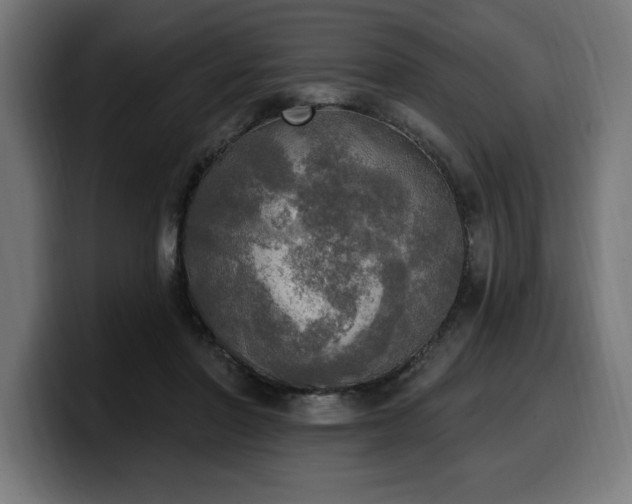 X0000100500406200806131440