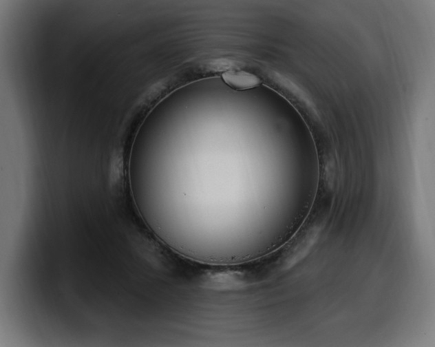 X0000100500407200806131440