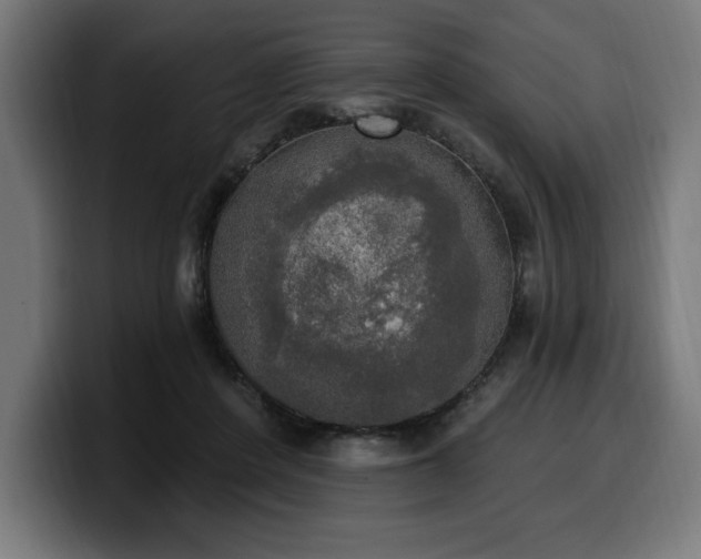 X0000100500408200806131440