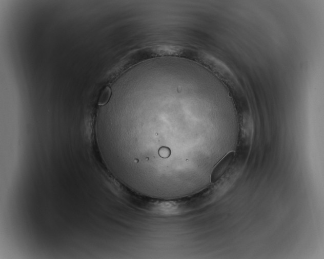 X0000100500409200806131440