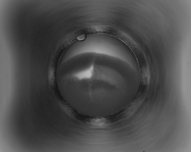 X0000100500410200806131440