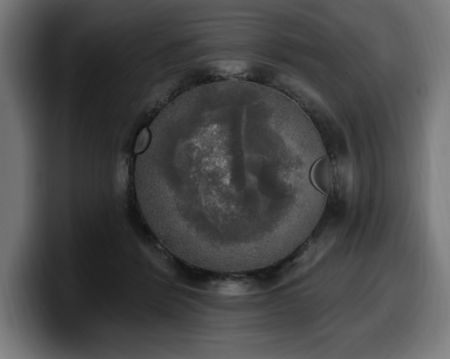 X0000100500412200806131440