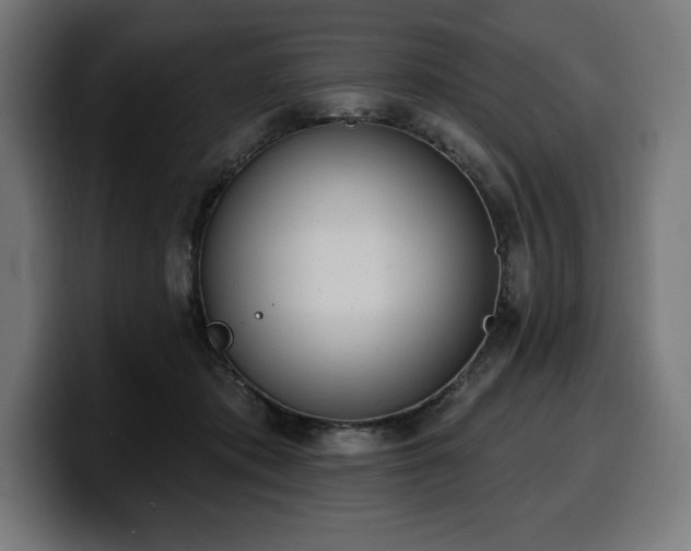 X0000100500413200806131440