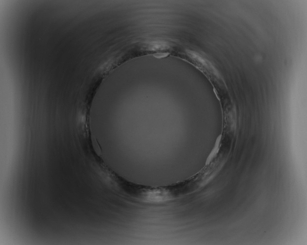 X0000100500415200806131440