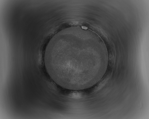 X0000100500416200806131440