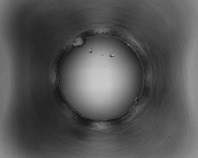 X0000100500417200806131440