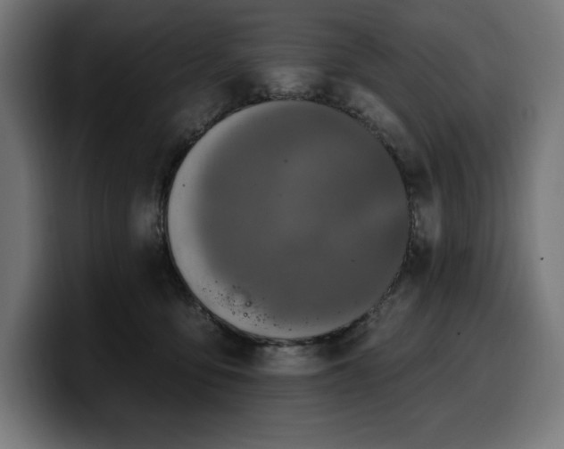 X0000100500419200806131440